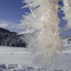 hiver_plateau_des_glieres_031